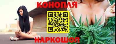 ГАЛЛЮЦИНОГЕННЫЕ ГРИБЫ Нальчик